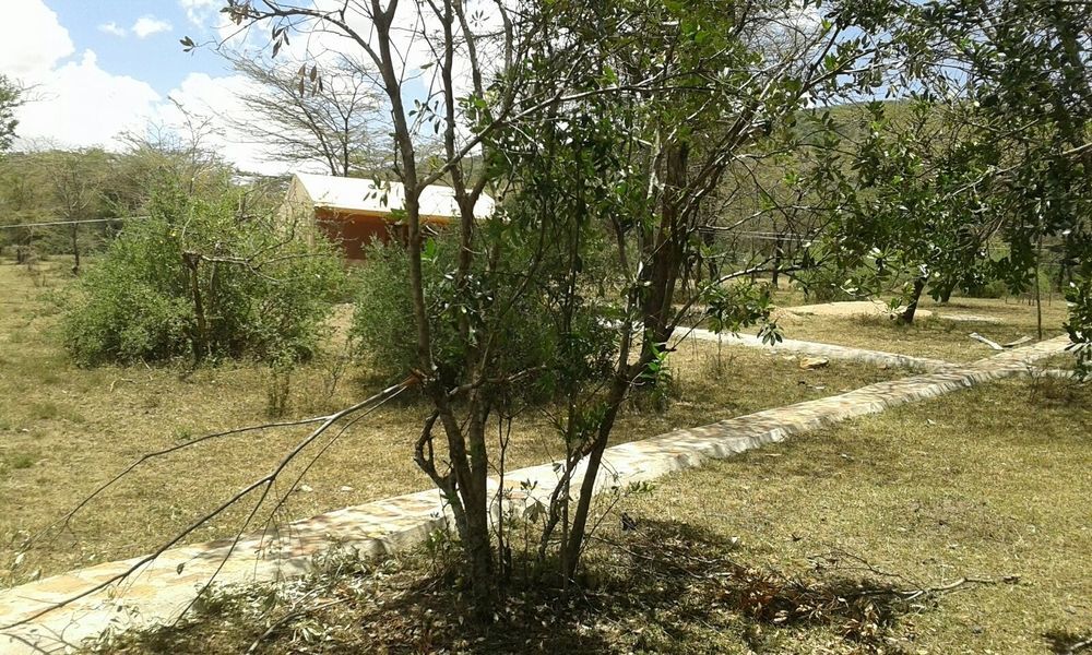 Enkolong Tented Camp Maasai Mara Zewnętrze zdjęcie