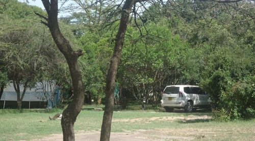 Enkolong Tented Camp Maasai Mara Zewnętrze zdjęcie